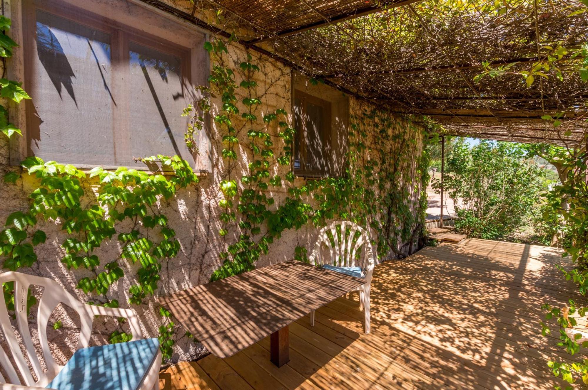 Le Mas de Riri Celles (Languedoc-Roussillon) Exterior foto